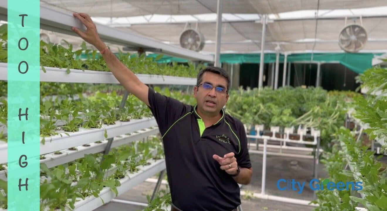 Three Mistakes to Avoid in an A-Frame Vertical Hydroponic System